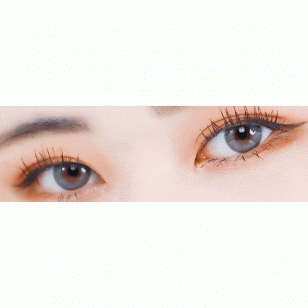 Lighly Mellow Gray(日拋)